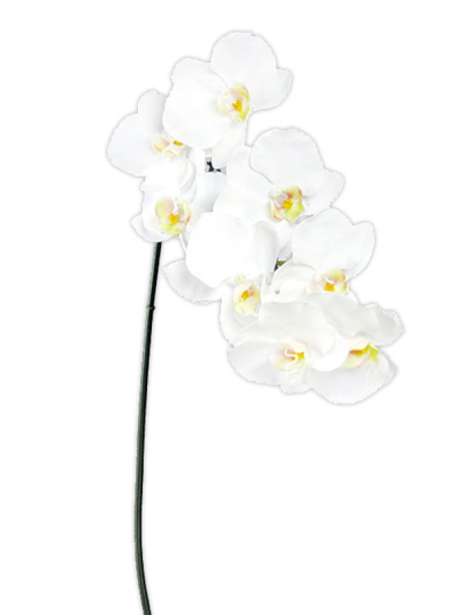 Realistic Silk Flowers Aldik Home Phalaenopsis Spray 37.5 In. White ⋆